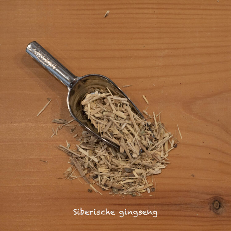 Siberische ginseng - Eleutherococcus senticosus