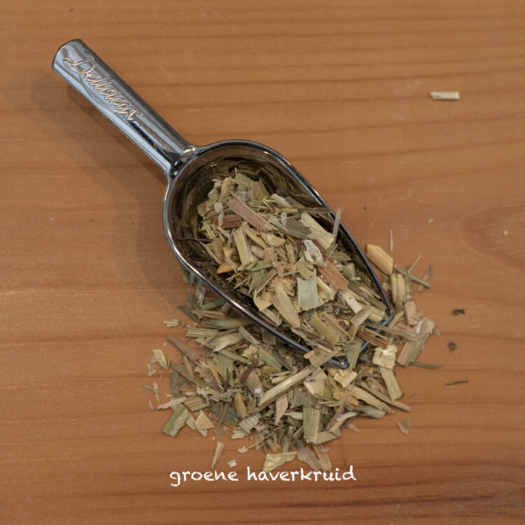 Groene haverkruid - Avena sativa