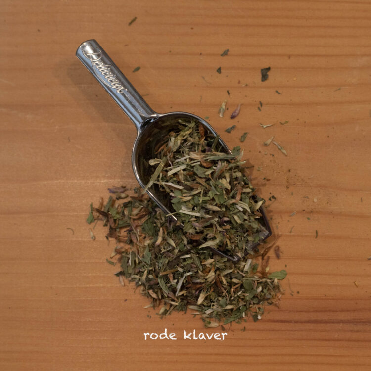 Rode klaver - Trifolium pratense