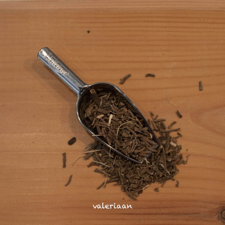 Valeriaan - Valeriana officinalis